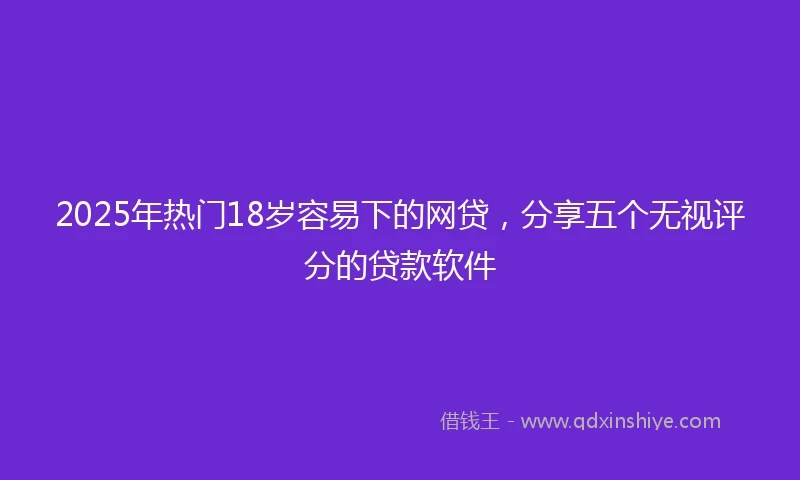 2025年热门18岁容易下的网贷，分享五个无视评分的贷款软件