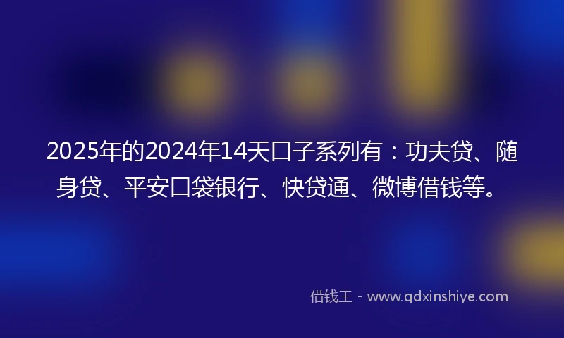2025年的2024年14天口子系列有：功夫贷、随身贷、平安口袋银行、快贷通、微博借钱等。