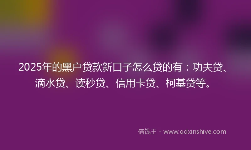 2025年的黑户贷款新口子怎么贷的有：功夫贷、滴水贷、读秒贷、信用卡贷、柯基贷等。