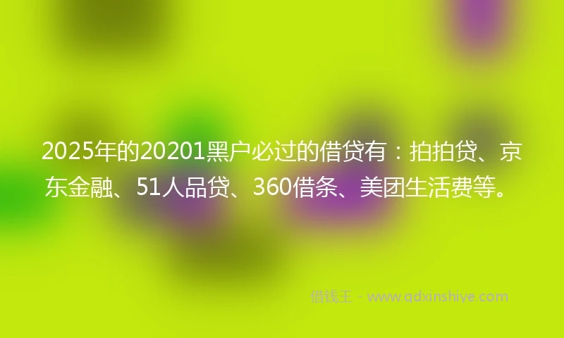 2025年的20201黑户必过的借贷有：拍拍贷、京东金融、51人品贷、360借条、美团生活费等。