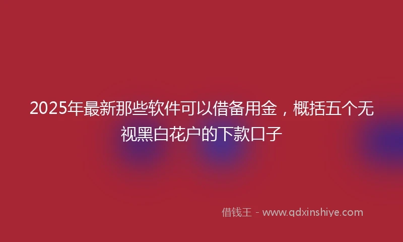 2025年最新那些软件可以借备用金，概括五个无视黑白花户的下款口子