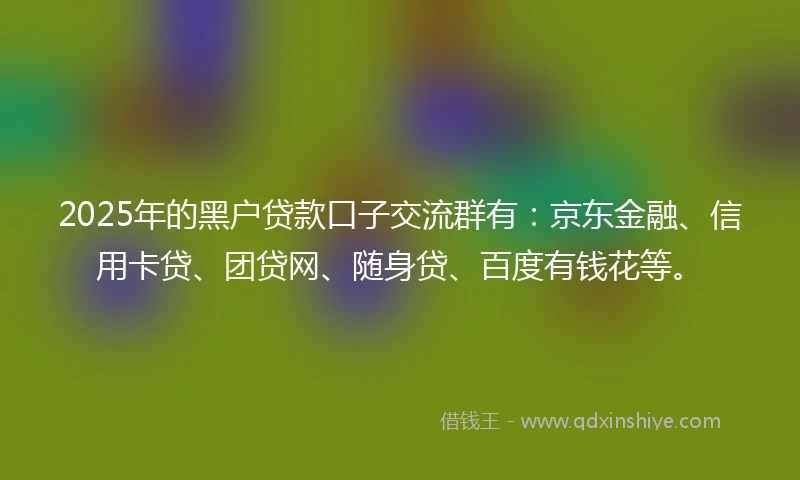 2025年的黑户贷款口子交流群有：京东金融、信用卡贷、团贷网、随身贷、百度有钱花等。