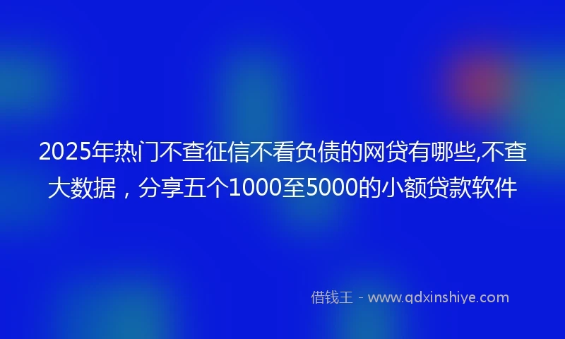 2025年热门不查征信不看负债的网贷有哪些,不查大数据，分享五个1000至5000的小额贷款软件