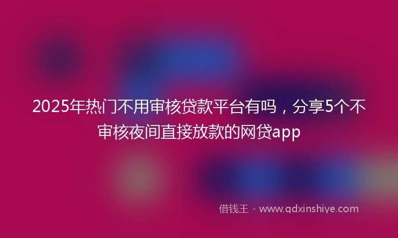 2025年热门不用审核贷款平台有吗，分享5个不审核夜间直接放款的网贷app