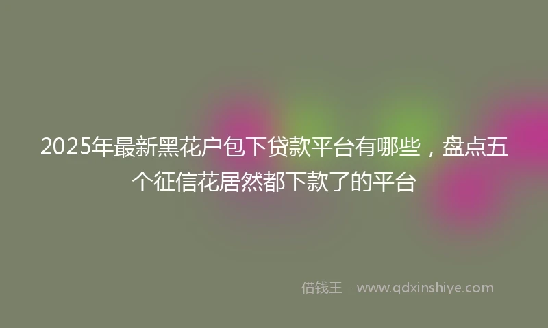 2025年最新黑花户包下贷款平台有哪些，盘点五个征信花居然都下款了的平台