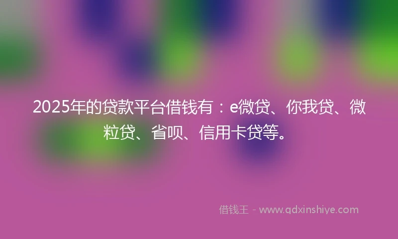 2025年的贷款平台借钱有：e微贷、你我贷、微粒贷、省呗、信用卡贷等。