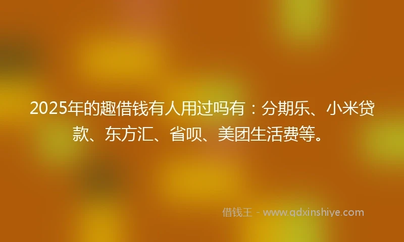 2025年的趣借钱有人用过吗有：分期乐、小米贷款、东方汇、省呗、美团生活费等。