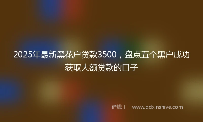 2025年最新黑花户贷款3500，盘点五个黑户成功获取大额贷款的口子