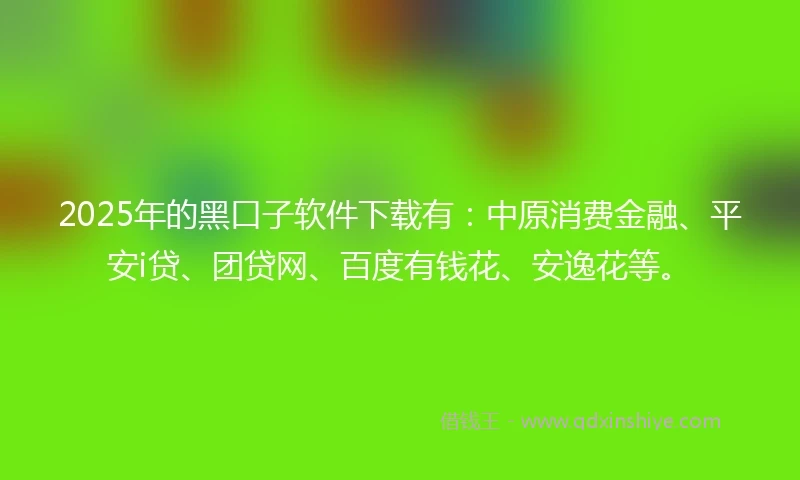 2025年的黑口子软件下载有：中原消费金融、平安i贷、团贷网、百度有钱花、安逸花等。
