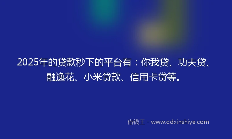 2025年的贷款秒下的平台有：你我贷、功夫贷、融逸花、小米贷款、信用卡贷等。