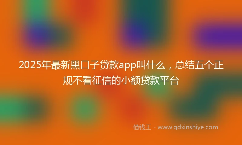 2025年最新黑口子贷款app叫什么，总结五个正规不看征信的小额贷款平台