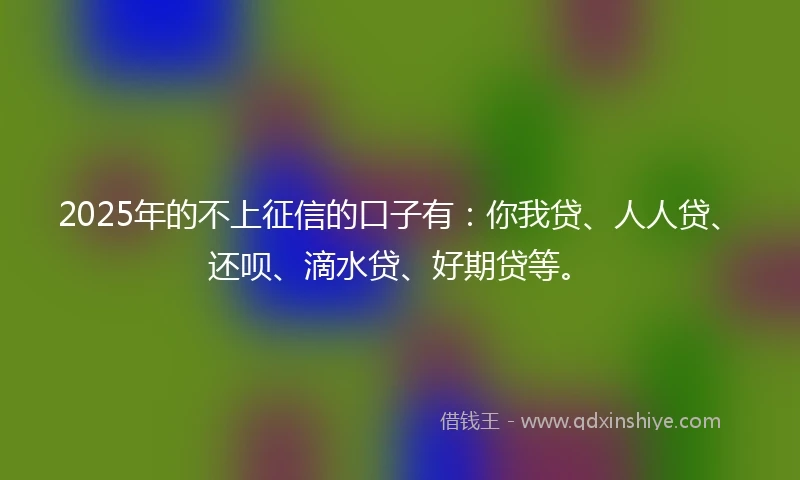 2025年的不上征信的口子有：你我贷、人人贷、还呗、滴水贷、好期贷等。