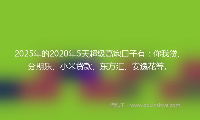 2025年的2020年5天超级高炮口子有：你我贷、分期乐、小米贷款、东方汇、安逸花等。