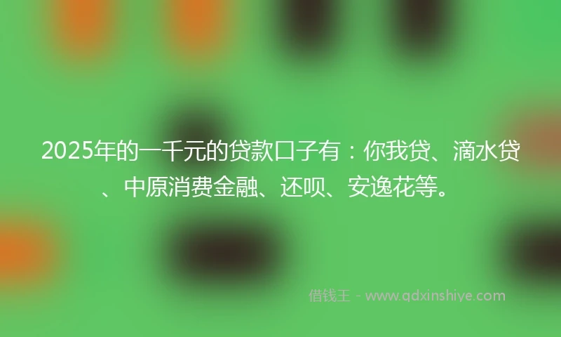 2025年的一千元的贷款口子有：你我贷、滴水贷、中原消费金融、还呗、安逸花等。