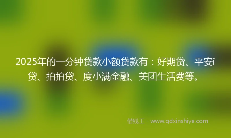 2025年的一分钟贷款小额贷款有：好期贷、平安i贷、拍拍贷、度小满金融、美团生活费等。