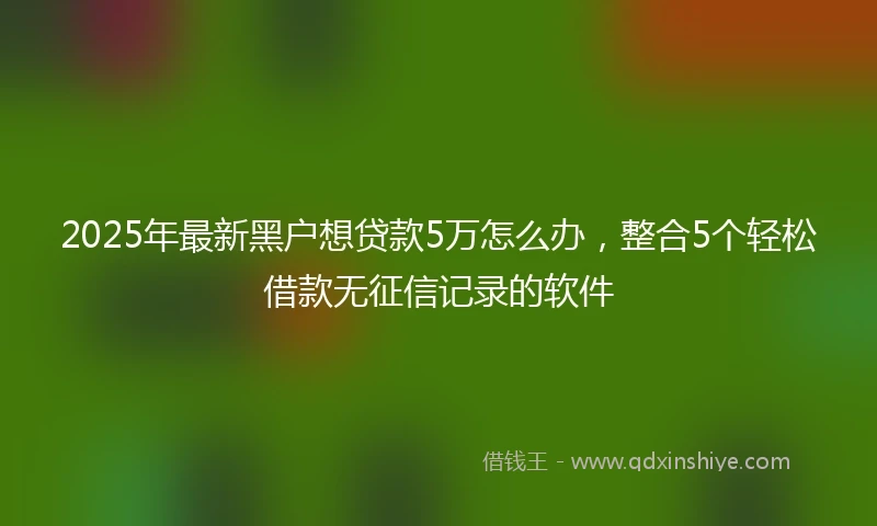 2025年最新黑户想贷款5万怎么办，整合5个轻松借款无征信记录的软件