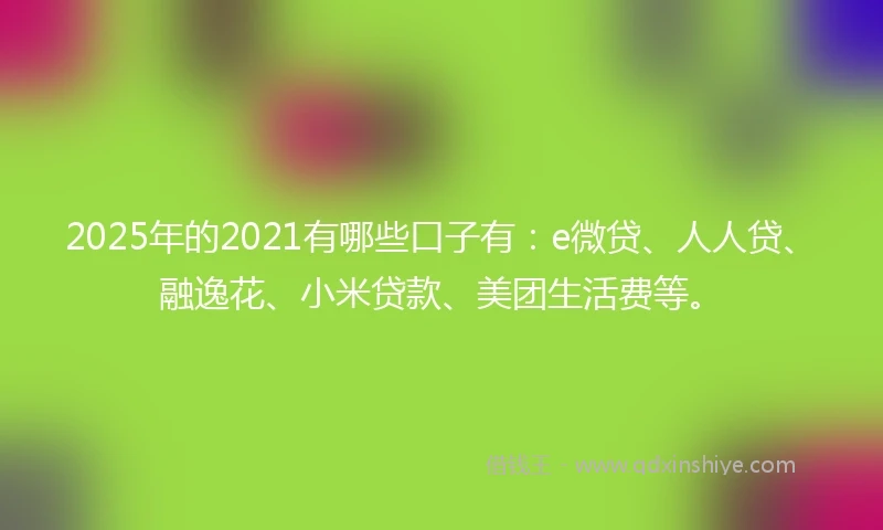 2025年的2021有哪些口子有：e微贷、人人贷、融逸花、小米贷款、美团生活费等。
