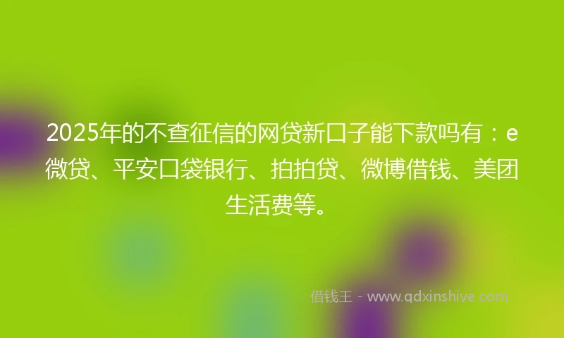 2025年的不查征信的网贷新口子能下款吗有：e微贷、平安口袋银行、拍拍贷、微博借钱、美团生活费等。