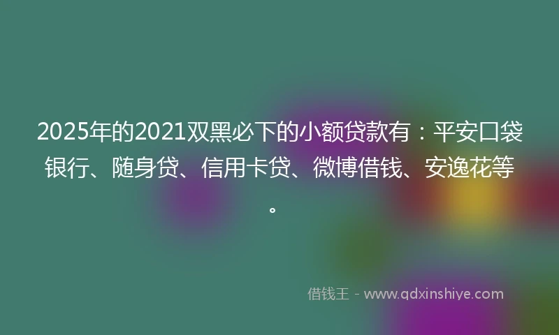 2025年的2021双黑必下的小额贷款有：平安口袋银行、随身贷、信用卡贷、微博借钱、安逸花等。