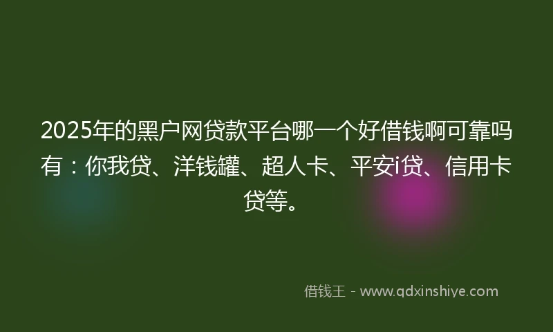 2025年的黑户网贷款平台哪一个好借钱啊可靠吗有：你我贷、洋钱罐、超人卡、平安i贷、信用卡贷等。