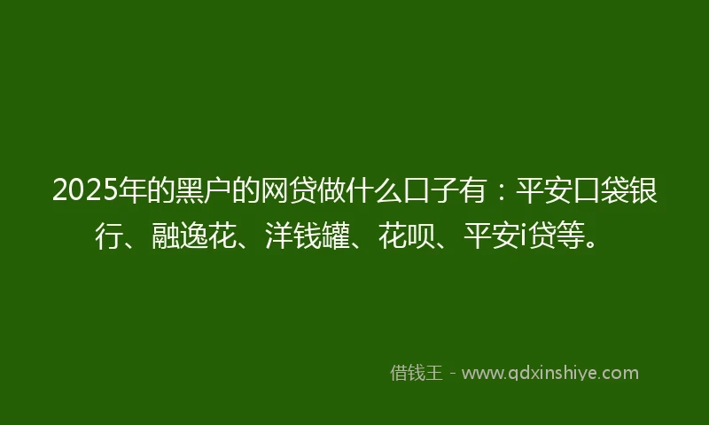 2025年的黑户的网贷做什么口子有：平安口袋银行、融逸花、洋钱罐、花呗、平安i贷等。