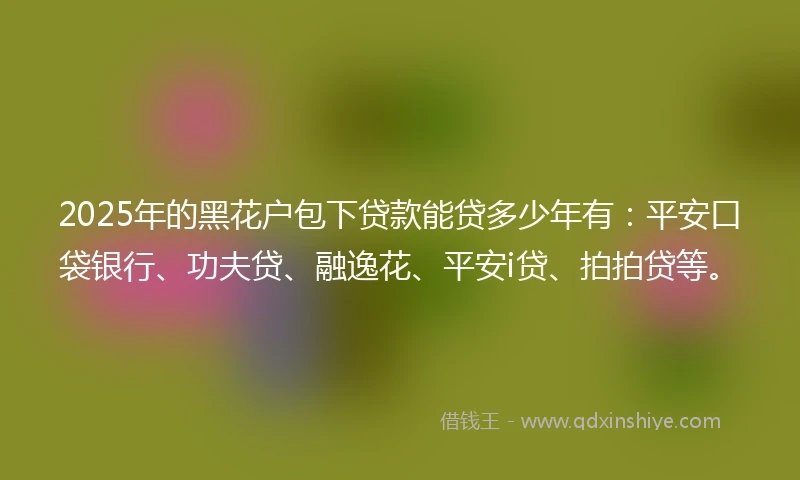 2025年的黑花户包下贷款能贷多少年有：平安口袋银行、功夫贷、融逸花、平安i贷、拍拍贷等。