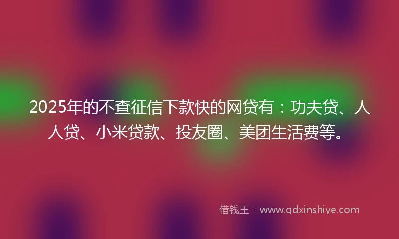 2025年的不查征信下款快的网贷有：功夫贷、人人贷、小米贷款、投友圈、美团生活费等。