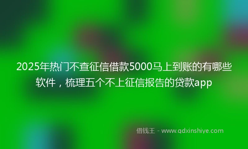 2025年热门不查征信借款5000马上到账的有哪些软件，梳理五个不上征信报告的贷款app