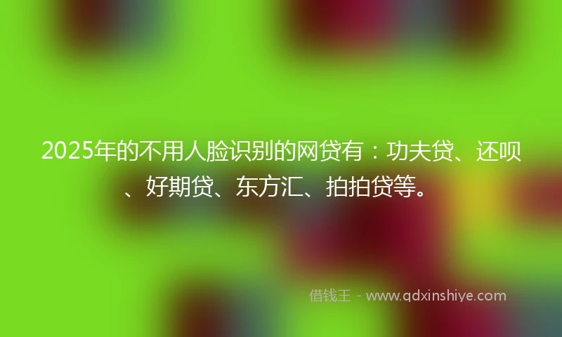 2025年的不用人脸识别的网贷有：功夫贷、还呗、好期贷、东方汇、拍拍贷等。