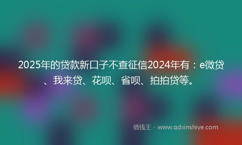 2025年的贷款新口子不查征信2024年有：e微贷、我来贷、花呗、省呗、拍拍贷等。