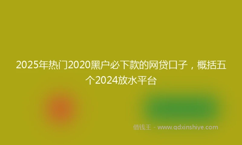 2025年热门2020黑户必下款的网贷口子，概括五个2024放水平台