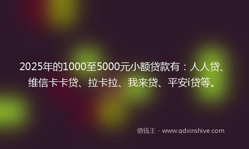 2025年的1000至5000元小额贷款有：人人贷、维信卡卡贷、拉卡拉、我来贷、平安i贷等。