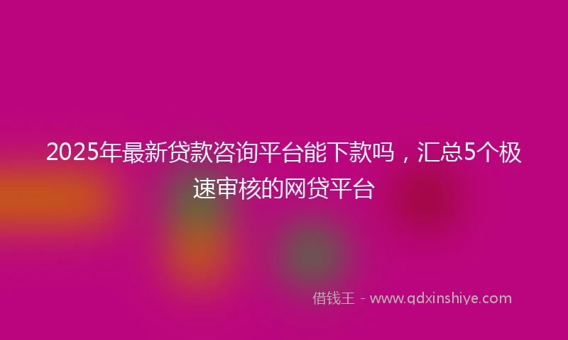 2025年最新贷款咨询平台能下款吗，汇总5个极速审核的网贷平台