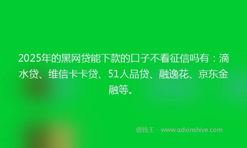 2025年的黑网贷能下款的口子不看征信吗有：滴水贷、维信卡卡贷、51人品贷、融逸花、京东金融等。