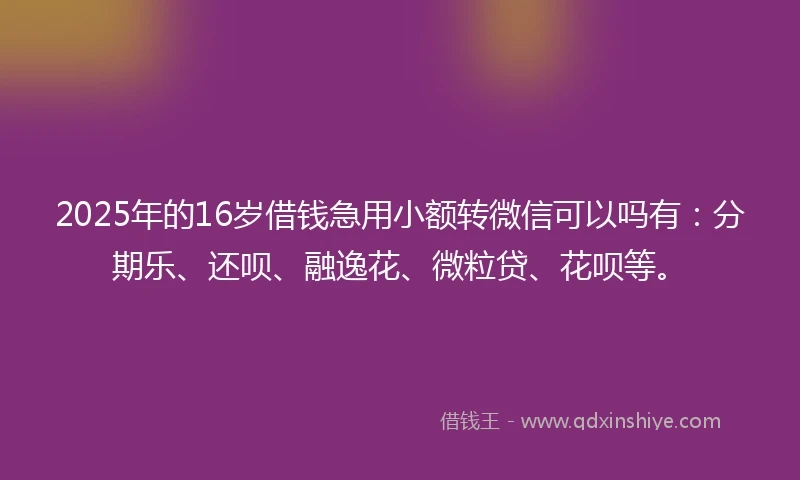 2025年的16岁借钱急用小额转微信可以吗有：分期乐、还呗、融逸花、微粒贷、花呗等。
