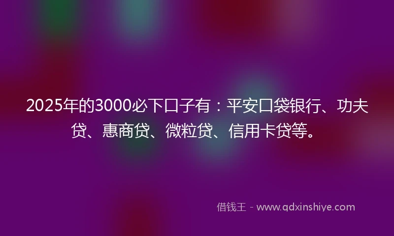 2025年的3000必下口子有：平安口袋银行、功夫贷、惠商贷、微粒贷、信用卡贷等。