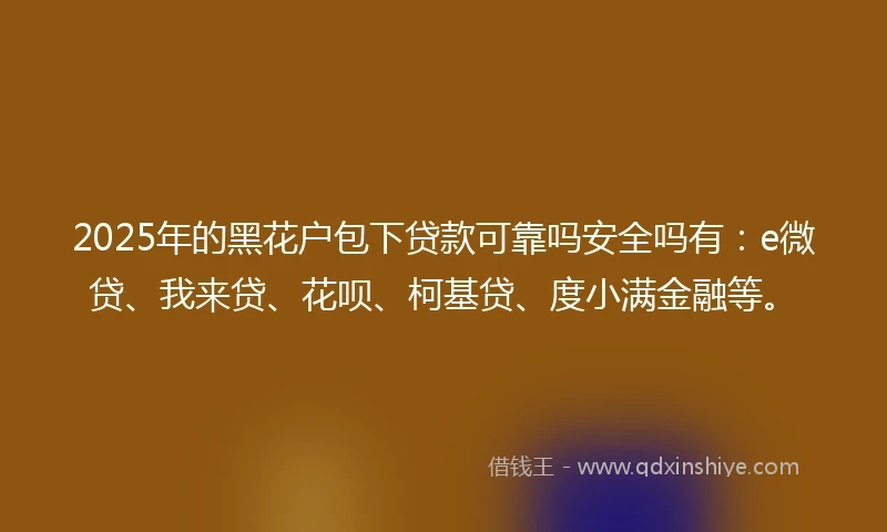 2025年的黑花户包下贷款可靠吗安全吗有：e微贷、我来贷、花呗、柯基贷、度小满金融等。