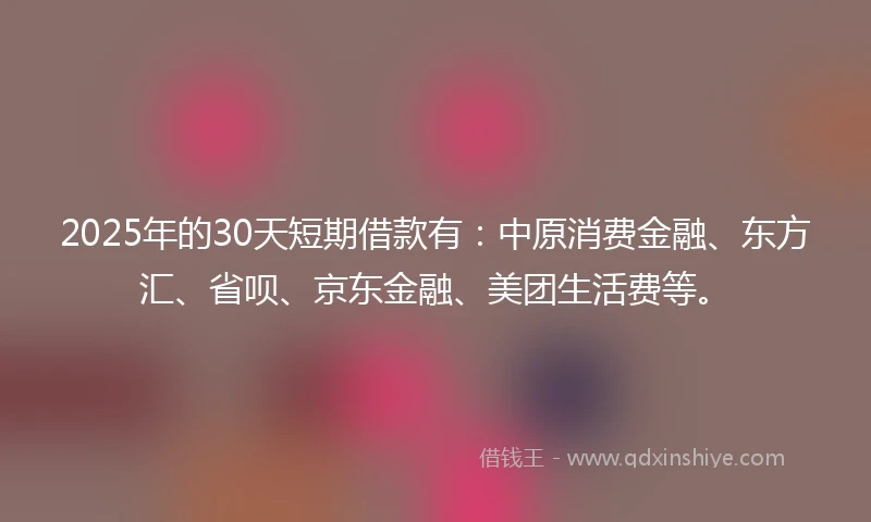 2025年的30天短期借款有：中原消费金融、东方汇、省呗、京东金融、美团生活费等。