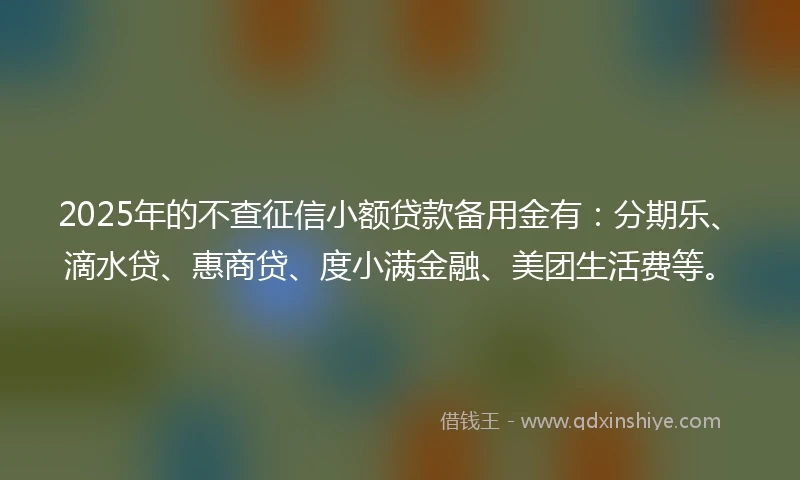 2025年的不查征信小额贷款备用金有：分期乐、滴水贷、惠商贷、度小满金融、美团生活费等。