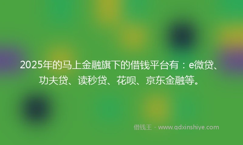 2025年的马上金融旗下的借钱平台有：e微贷、功夫贷、读秒贷、花呗、京东金融等。