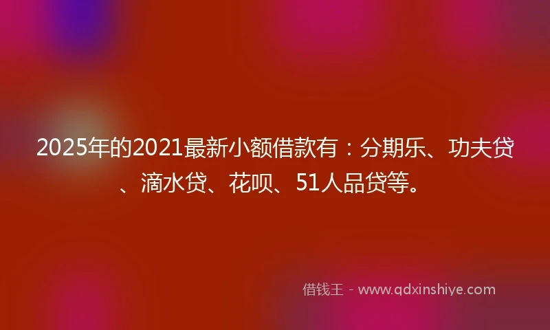 2025年的2021最新小额借款有：分期乐、功夫贷、滴水贷、花呗、51人品贷等。