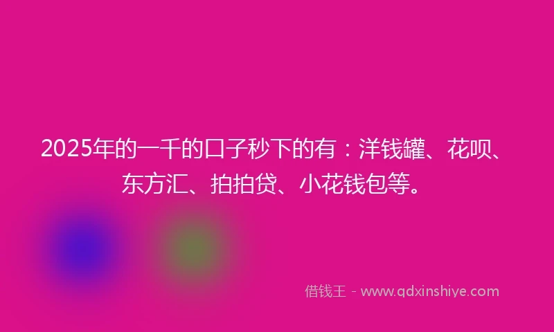 2025年的一千的口子秒下的有：洋钱罐、花呗、东方汇、拍拍贷、小花钱包等。