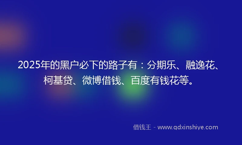 2025年的黑户必下的路子有：分期乐、融逸花、柯基贷、微博借钱、百度有钱花等。