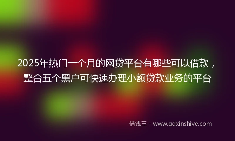 2025年热门一个月的网贷平台有哪些可以借款，整合五个黑户可快速办理小额贷款业务的平台