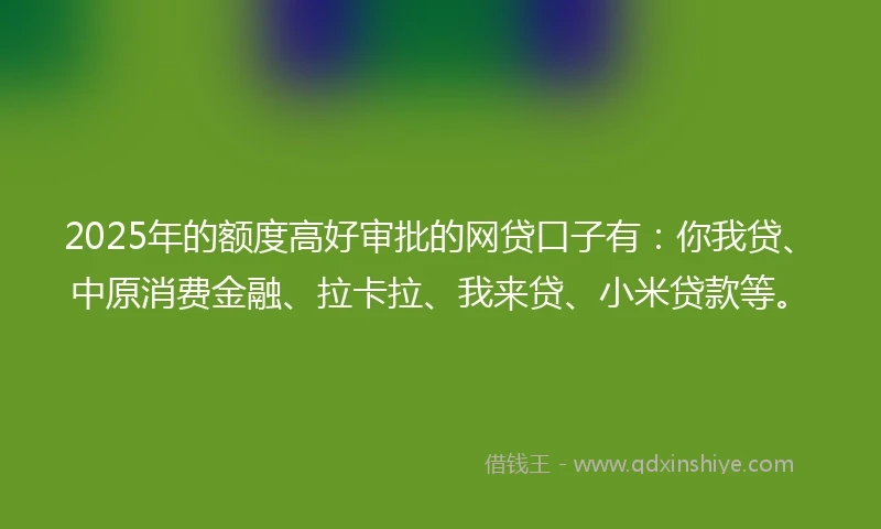 2025年的额度高好审批的网贷口子有：你我贷、中原消费金融、拉卡拉、我来贷、小米贷款等。