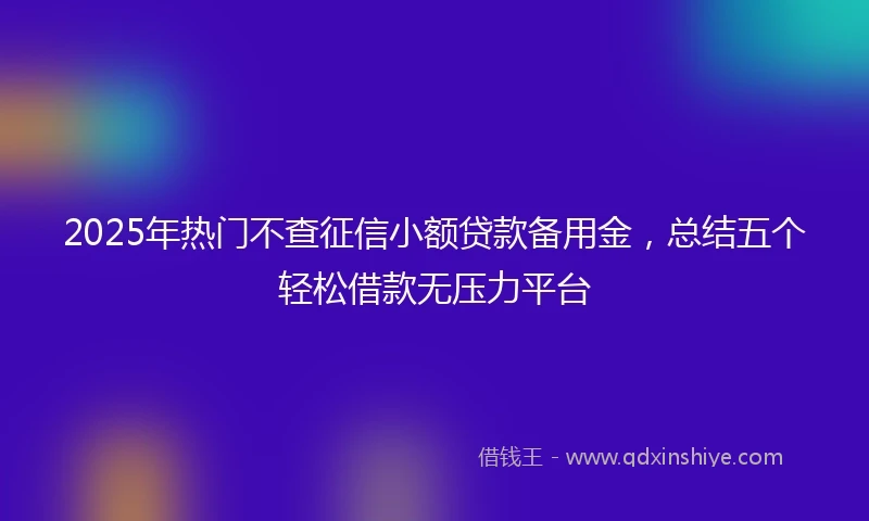 2025年热门不查征信小额贷款备用金，总结五个轻松借款无压力平台