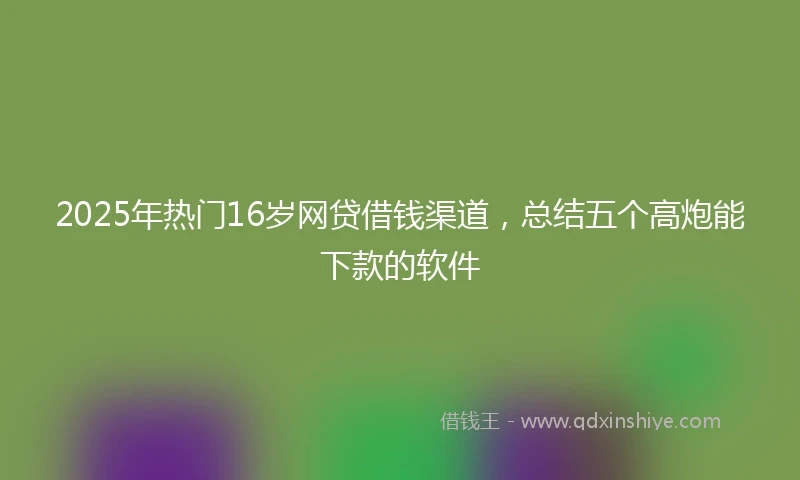 2025年热门16岁网贷借钱渠道，总结五个高炮能下款的软件