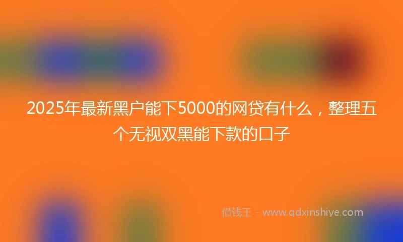 2025年最新黑户能下5000的网贷有什么，整理五个无视双黑能下款的口子