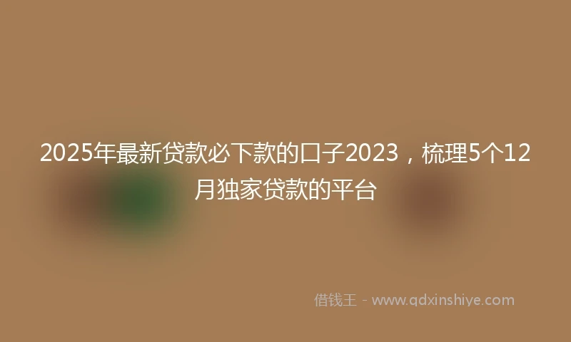 2025年最新贷款必下款的口子2023，梳理5个12月独家贷款的平台