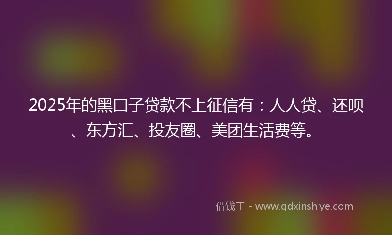 2025年的黑囗子贷款不上征信有：人人贷、还呗、东方汇、投友圈、美团生活费等。